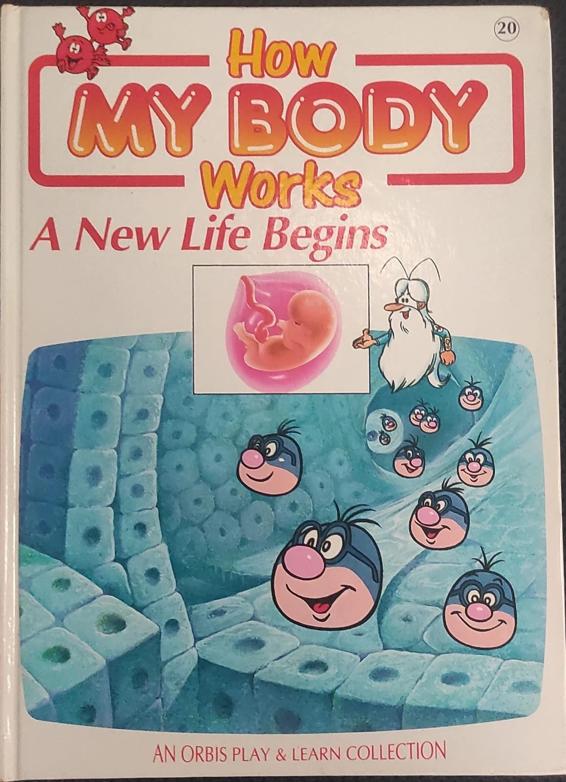 HOW MY BODY WORKS A NEW LIFE OF BEGINS